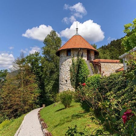 Villa Aina Boutique Hotel Laško Extérieur photo