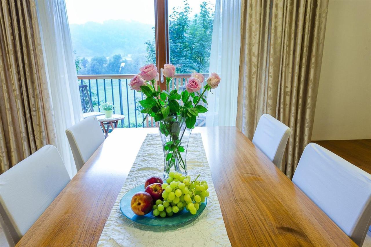Villa Aina Boutique Hotel Laško Extérieur photo