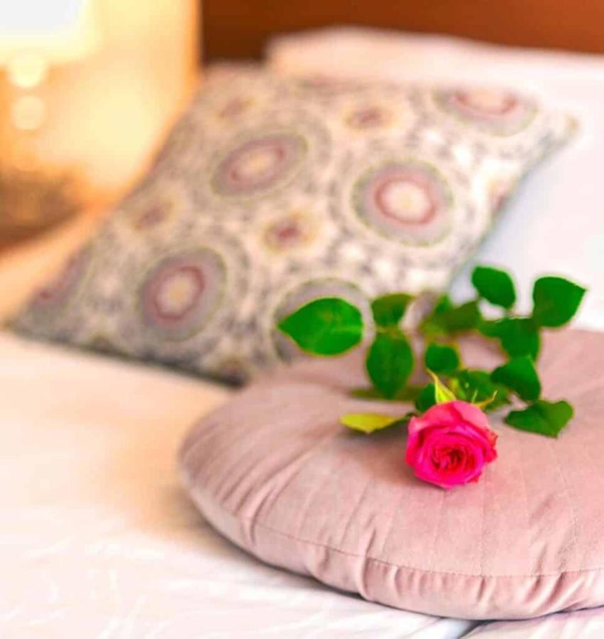 Villa Aina Boutique Hotel Laško Extérieur photo
