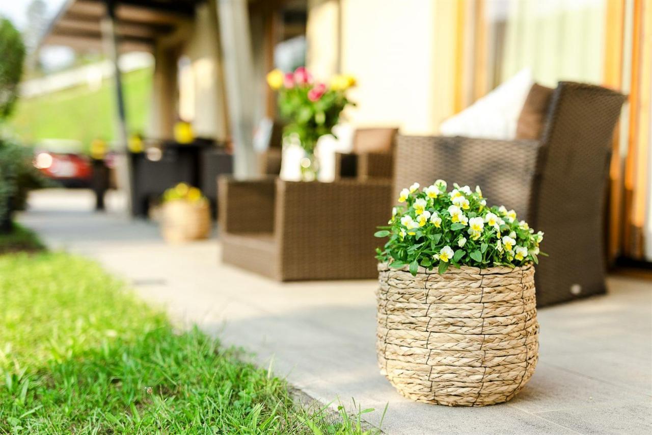 Villa Aina Boutique Hotel Laško Extérieur photo